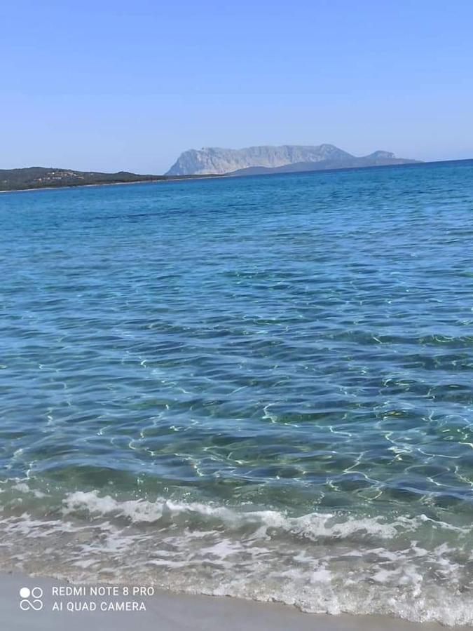 Sa Tanca De Su Mare Panzió Budoni Kültér fotó